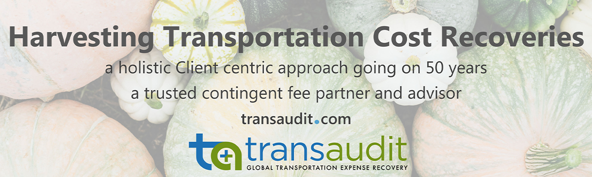 https://transaudit.com/?ppc_keyword&gad_source=1&gad_campaignid=690158375&gbraid=0AAAAADvuX-ZkKVDCQho8jeHoy_NRfsMMW